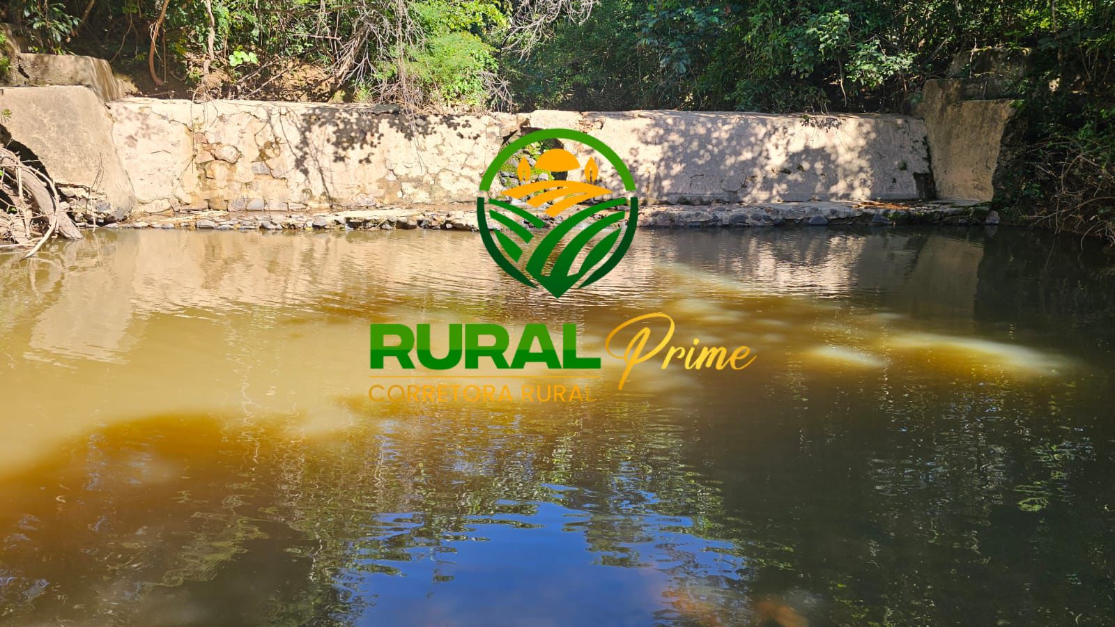 Fazenda (Riachão das Neves - BA)