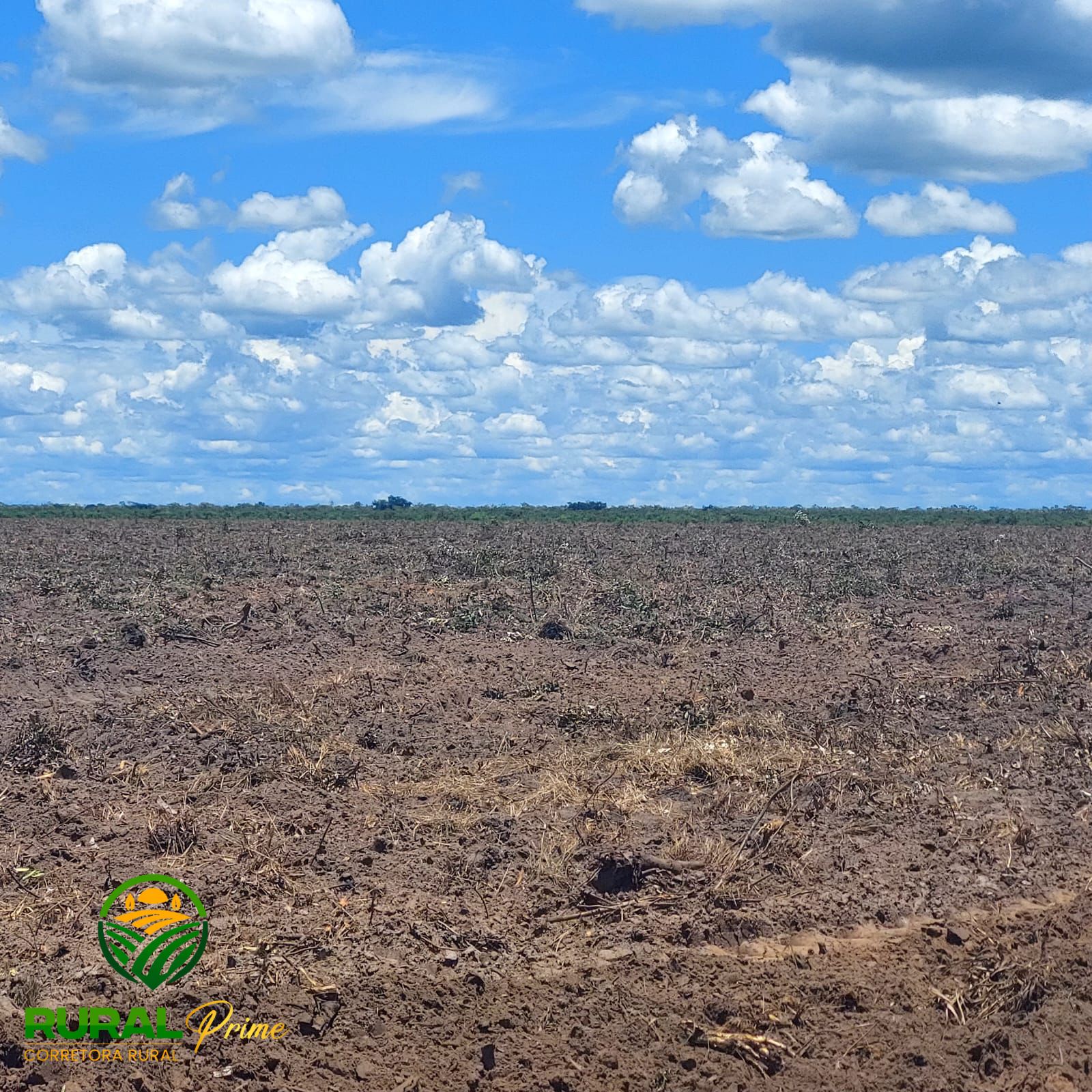 Fazenda à venda (Barreiras-BA)