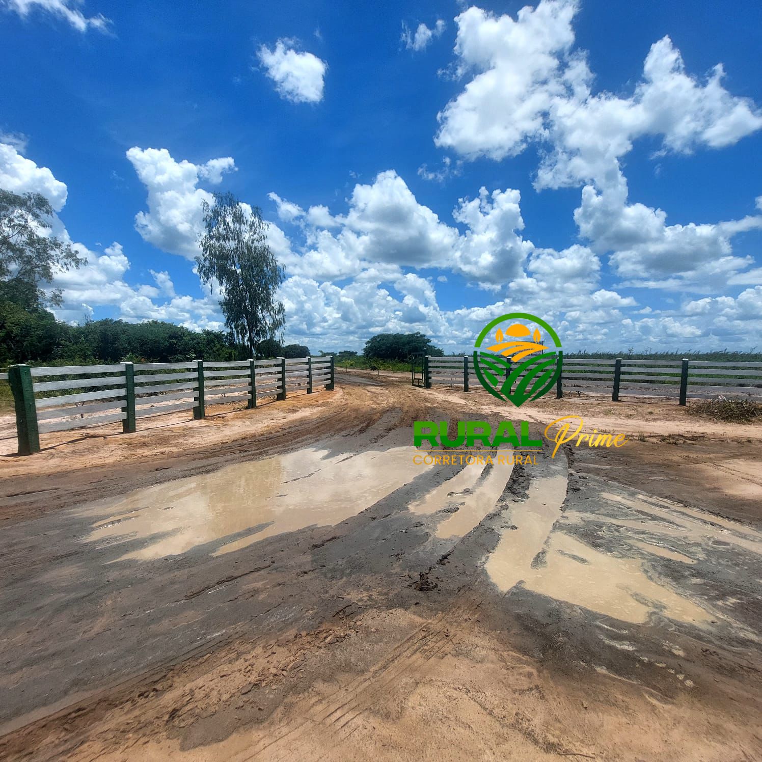 Fazenda à venda (Barreiras-BA)