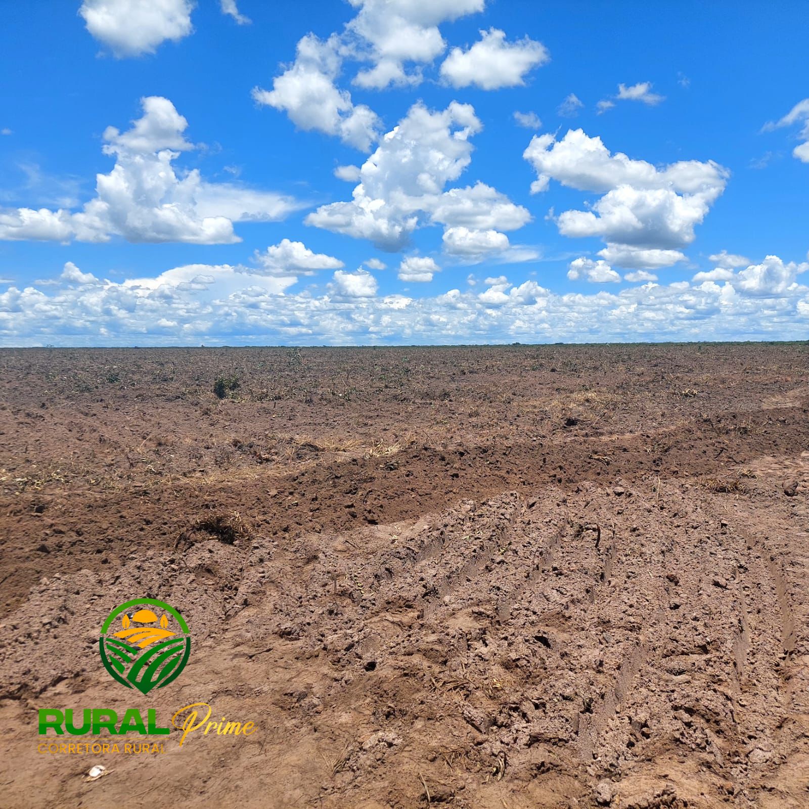 Fazenda à venda (Barreiras-BA)