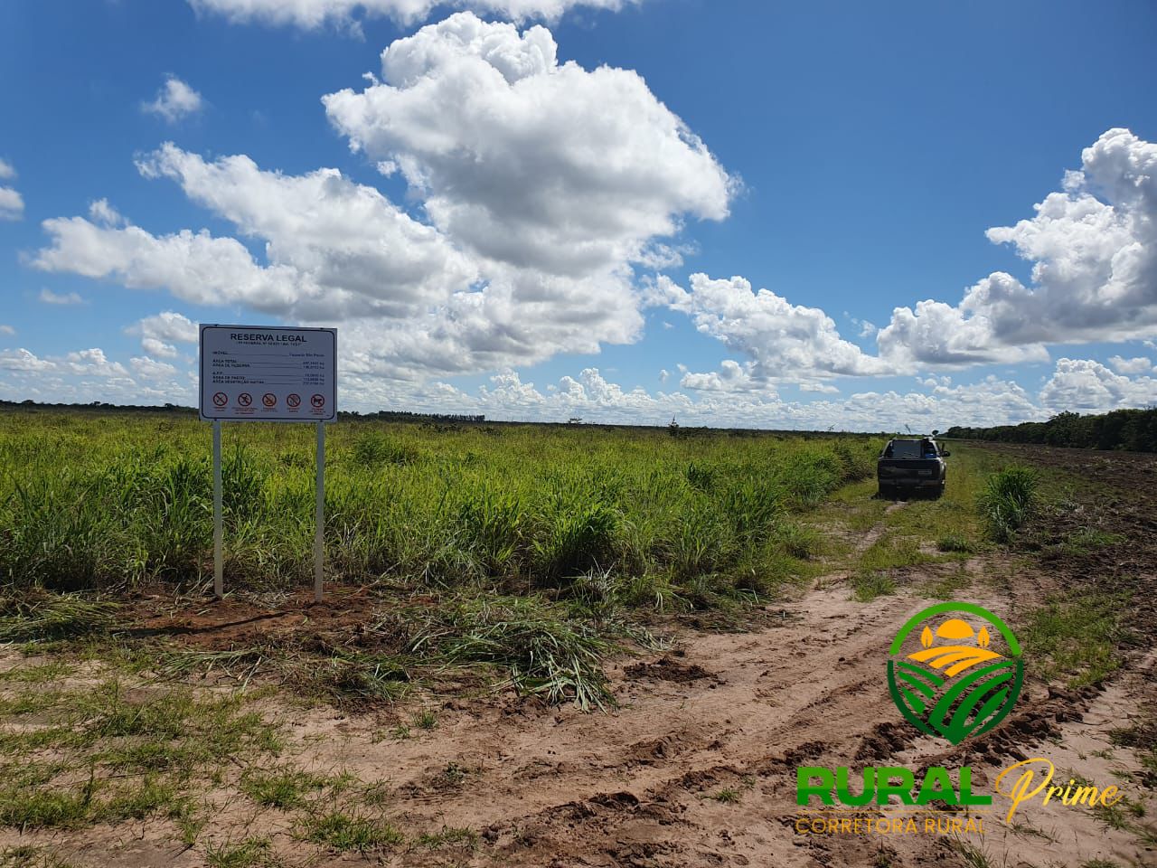 Fazenda à venda (São Desidério-BA)