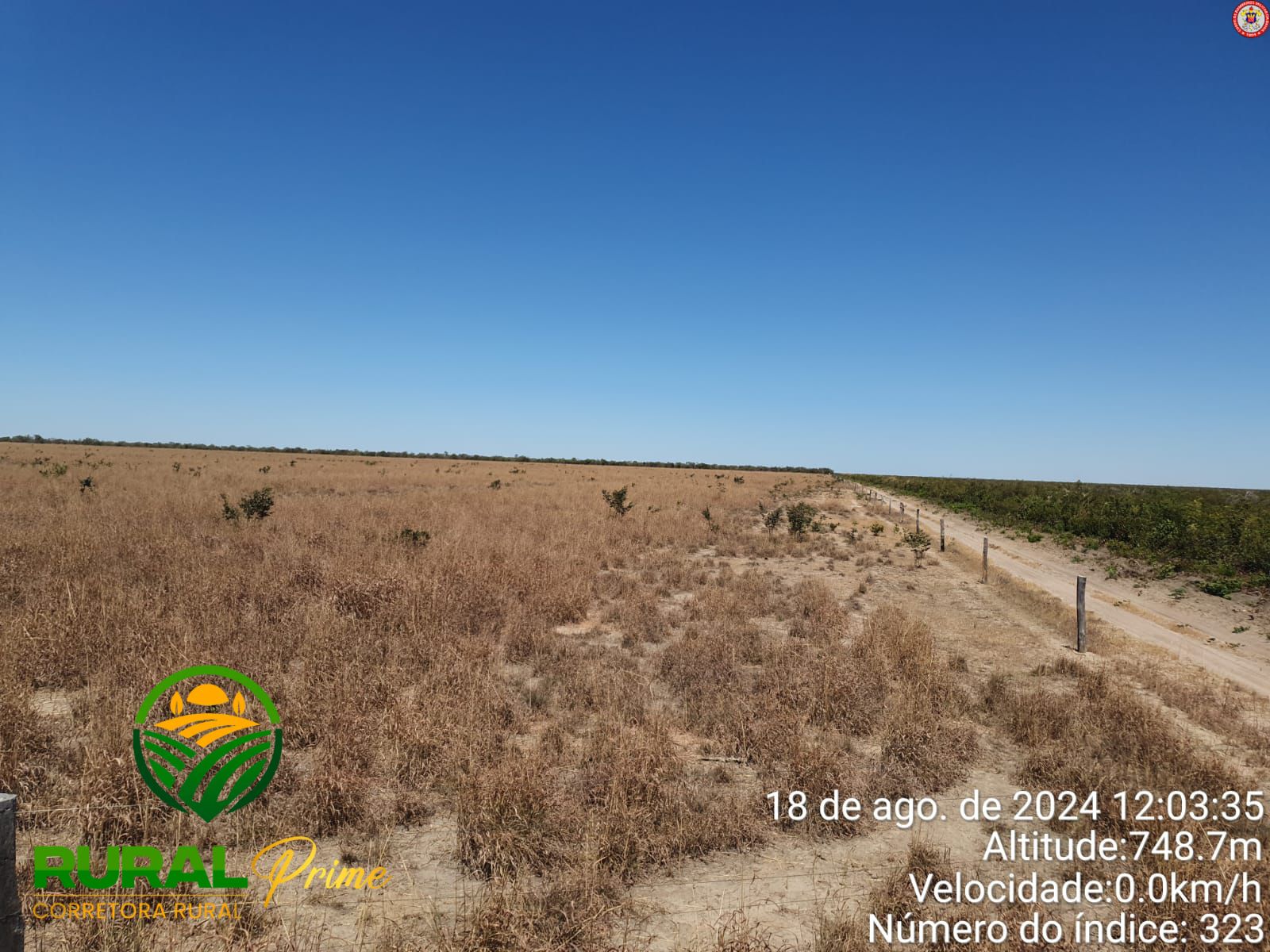 Fazenda à venda (São Desidério-BA)