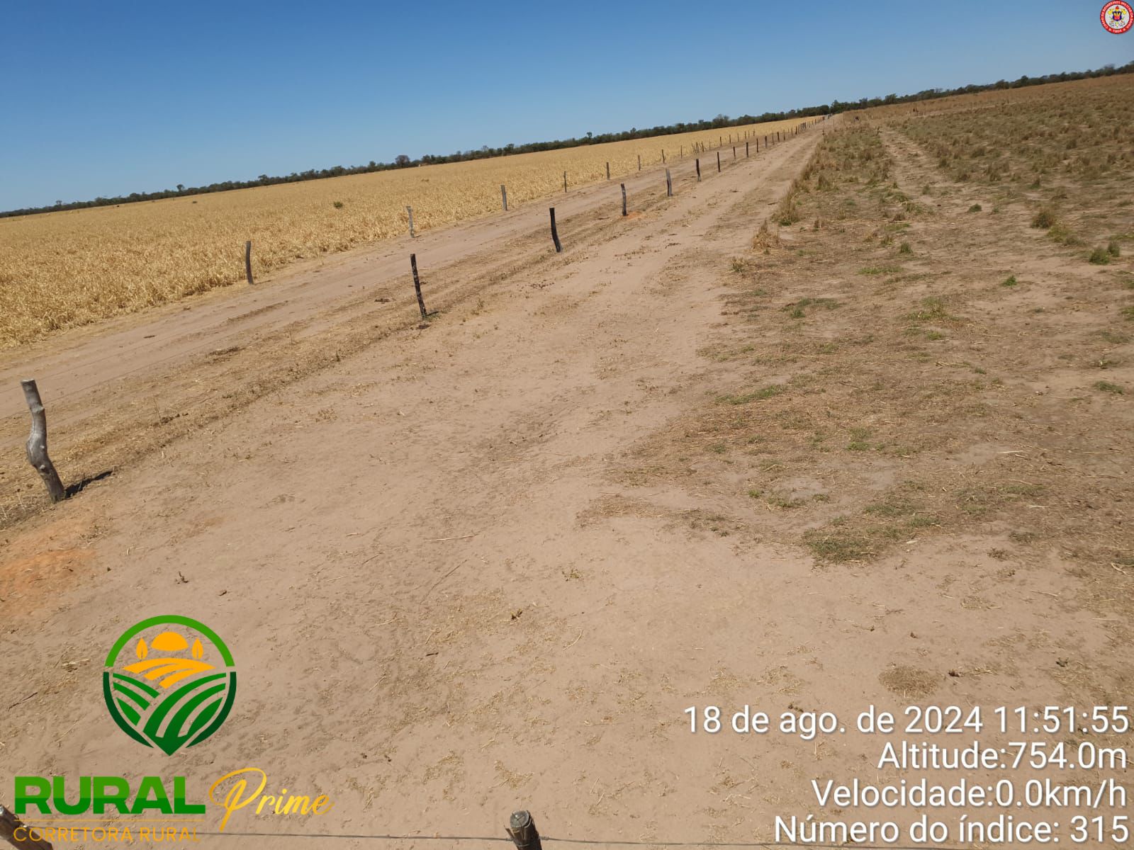 Fazenda à venda (São Desidério-BA)