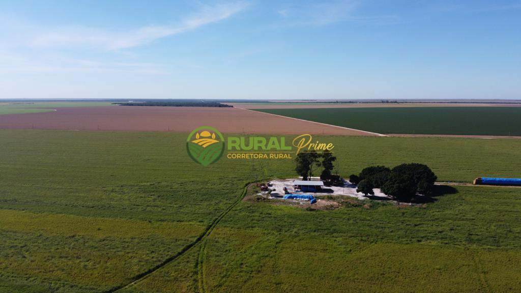 Fazenda (São Desidério-BA)