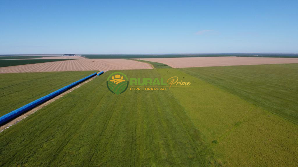 Fazenda (São Desidério-BA)