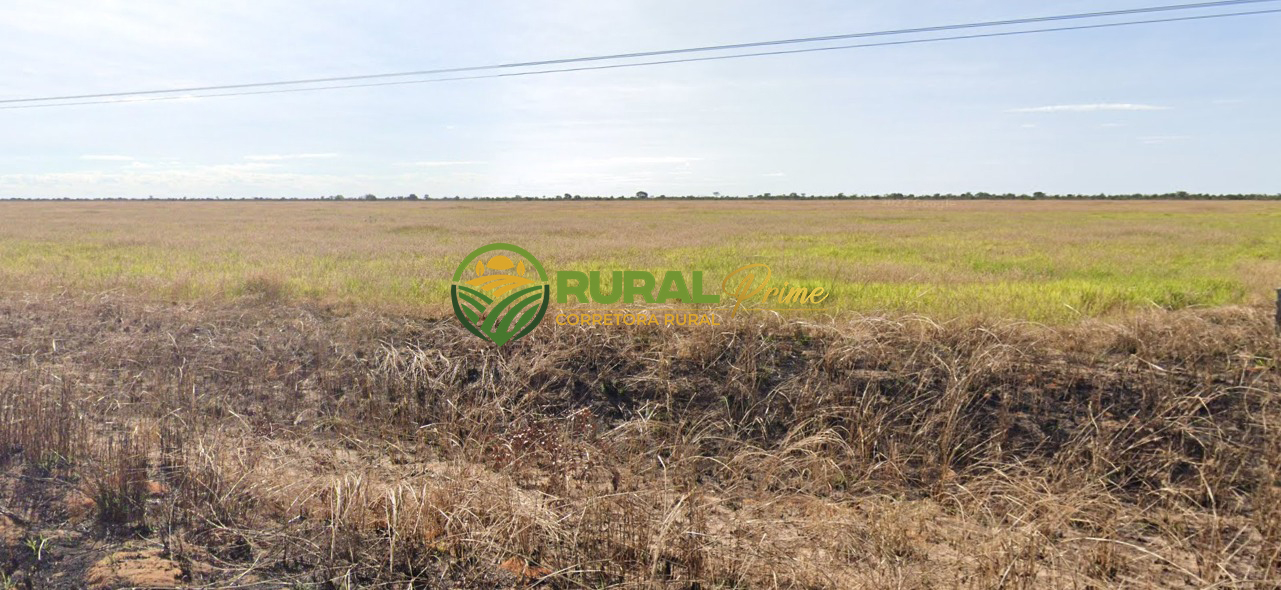 Fazenda à venda (Luis Eduardo Magalhães-BA)