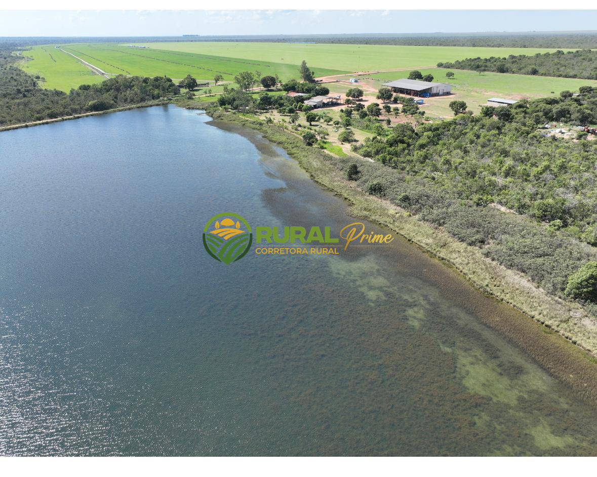 Fazenda à venda (Anel da Soja - BA)