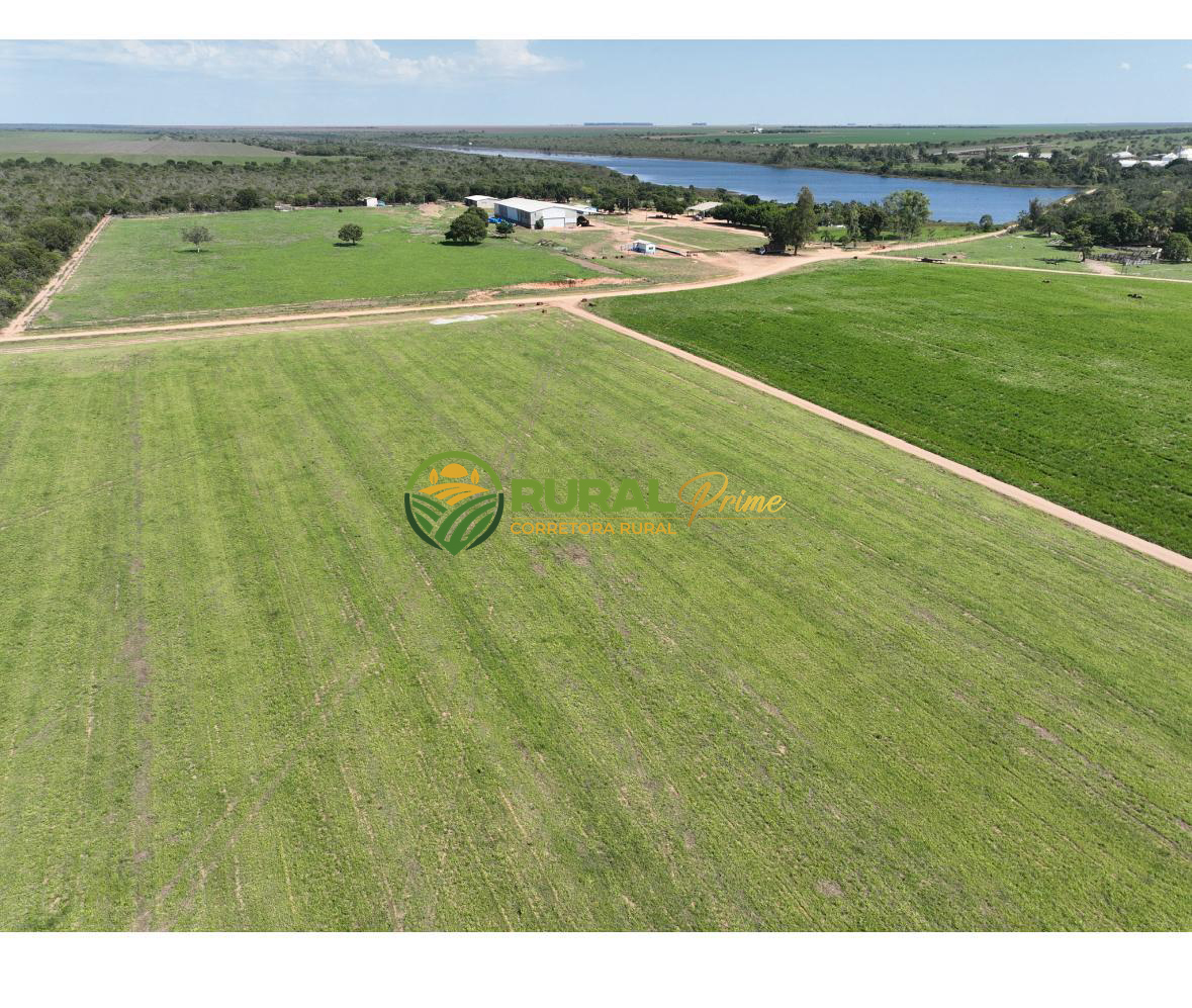 Fazenda à venda (Anel da Soja - BA)