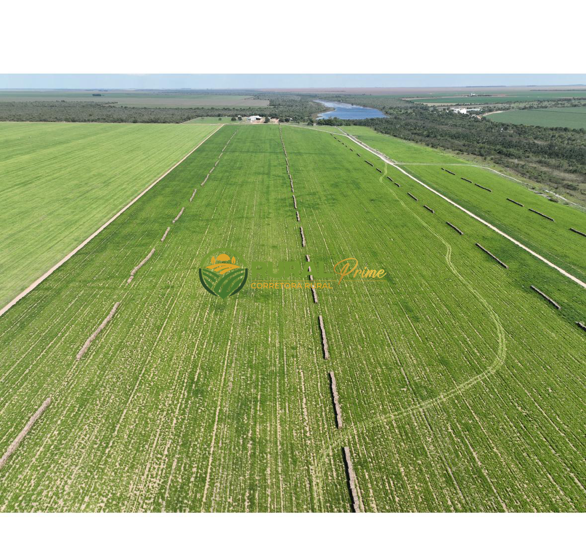 Fazenda à venda (Anel da Soja - BA)