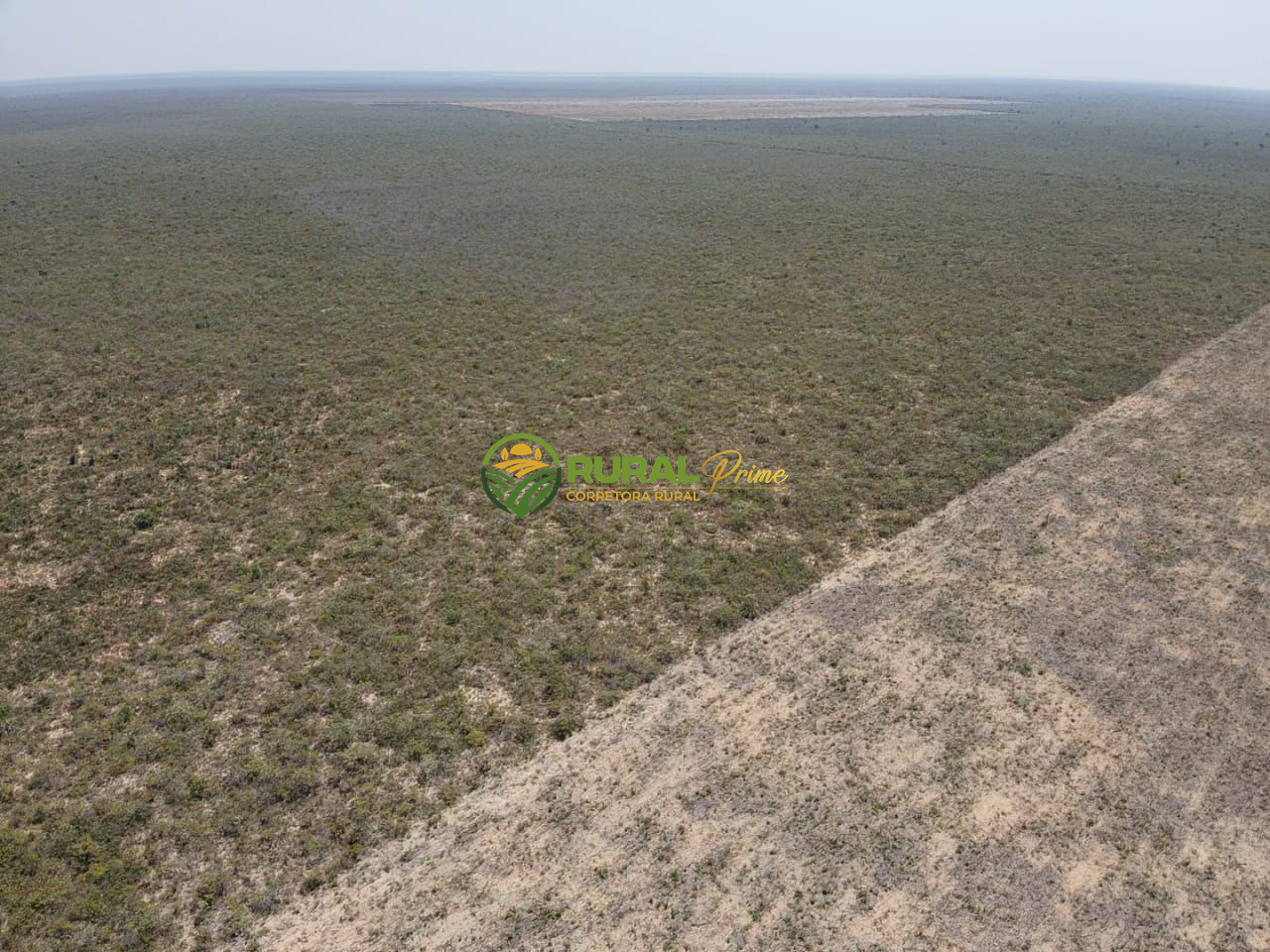 Fazenda à venda em São Desidério - 6.780ha