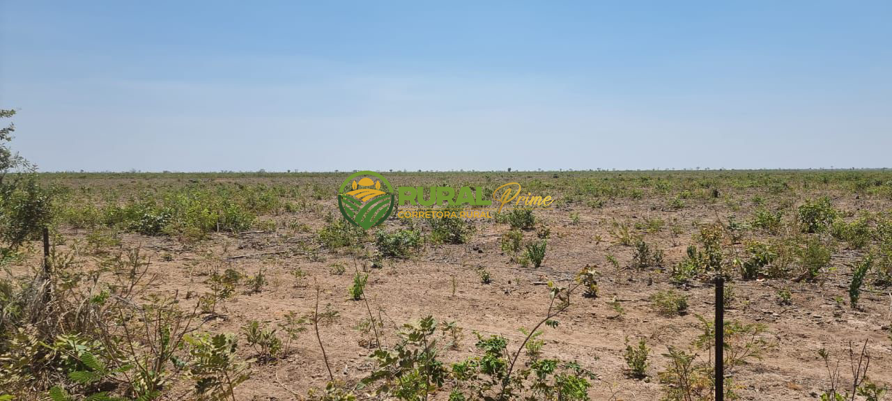 Fazenda à venda em São Desidério - 6.780ha