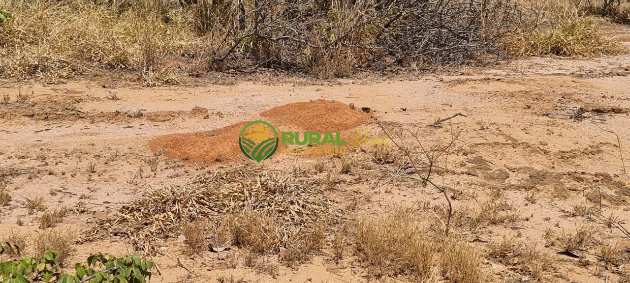Fazenda à venda em São Desidério - 6.780ha