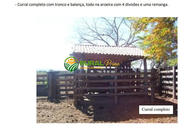 Fazenda em Riachão das Neves à venda - 1.467ha