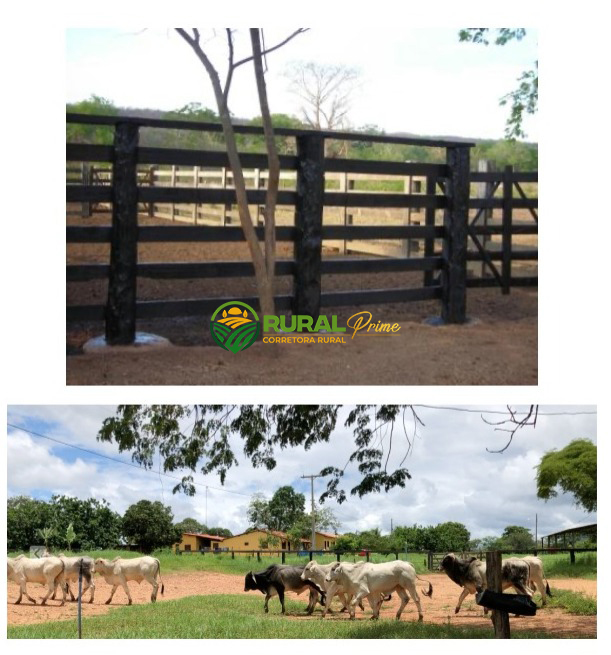 Fazenda em Riachão das Neves à venda - 1.467ha