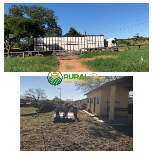 Fazenda em Riachão das Neves à venda - 1.467ha