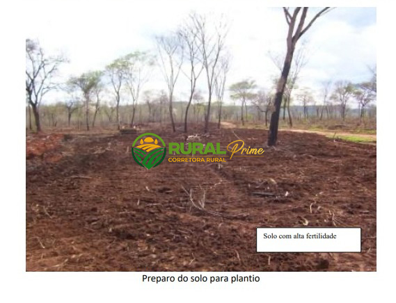 Fazenda em Riachão das Neves à venda - 1.467ha