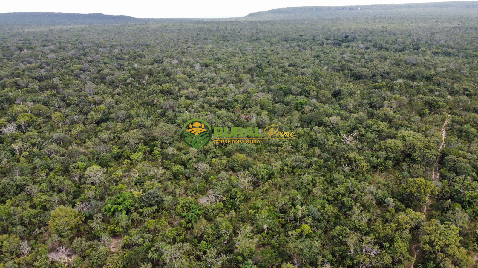 fazenda a venda em Riachão das Neves - BA