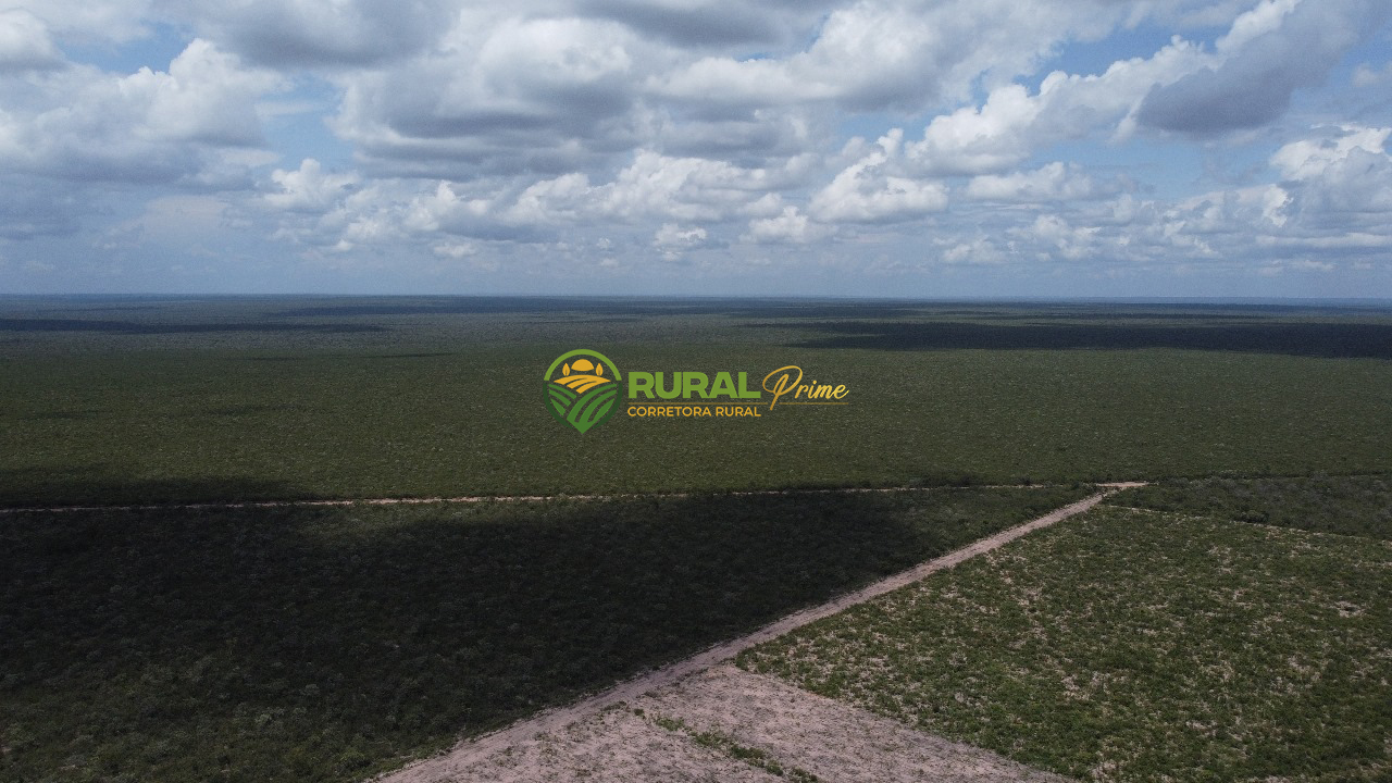 Fazenda à venda Baianópolis-BA - 9.270ha