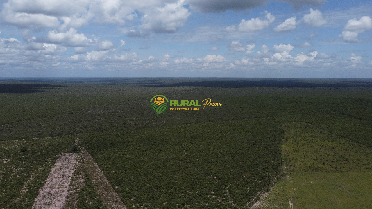 Fazenda à venda Baianópolis-BA - 9.270ha