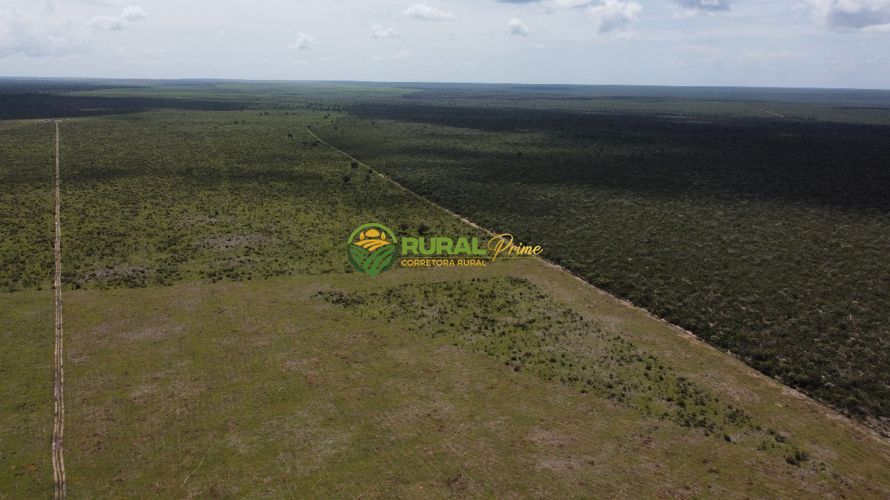 Fazenda à venda Baianópolis-BA - 9.270ha
