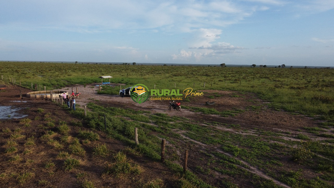Fazenda à venda Baianópolis-BA - 9.270ha