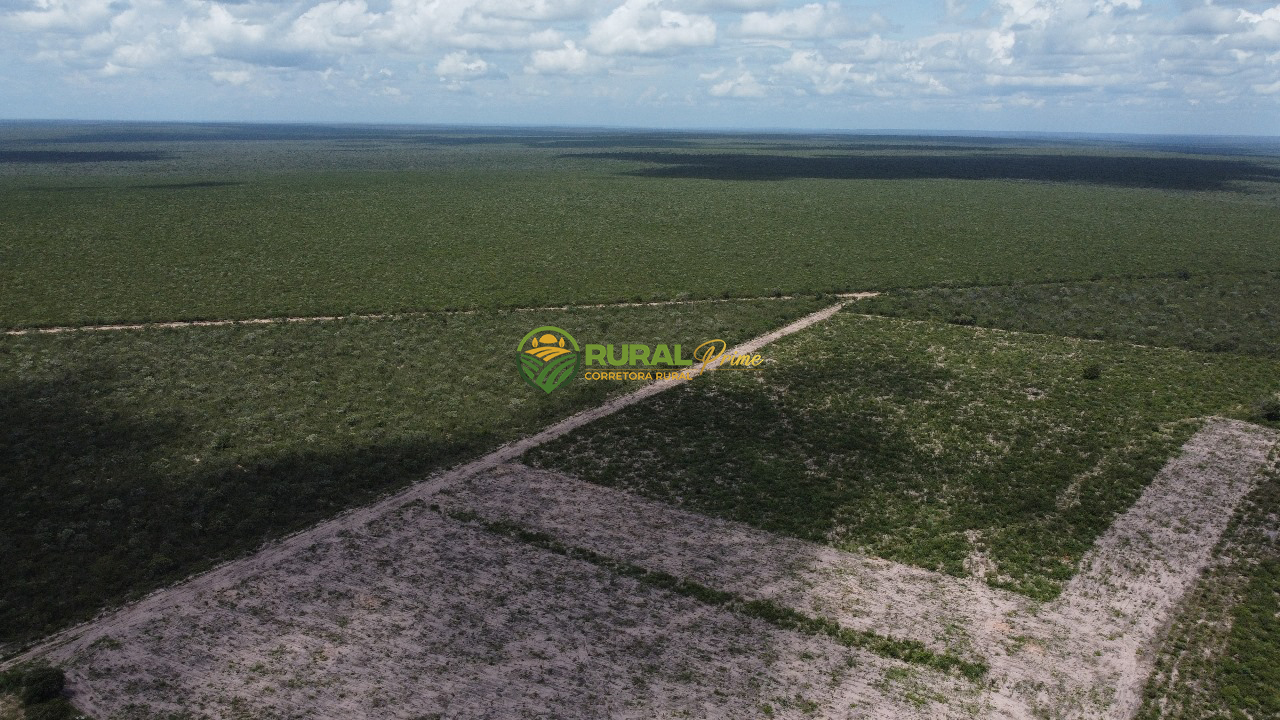 Fazenda à venda Baianópolis-BA - 9.270ha