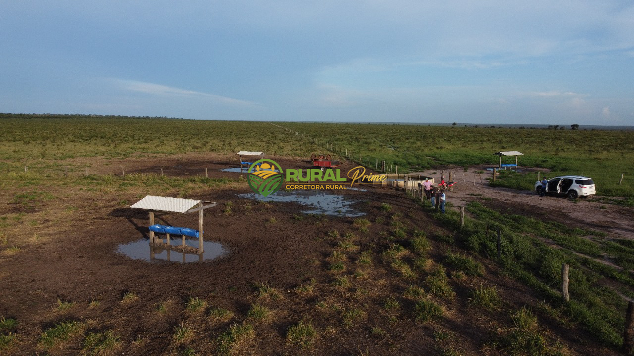 Fazenda à venda Baianópolis-BA - 9.270ha