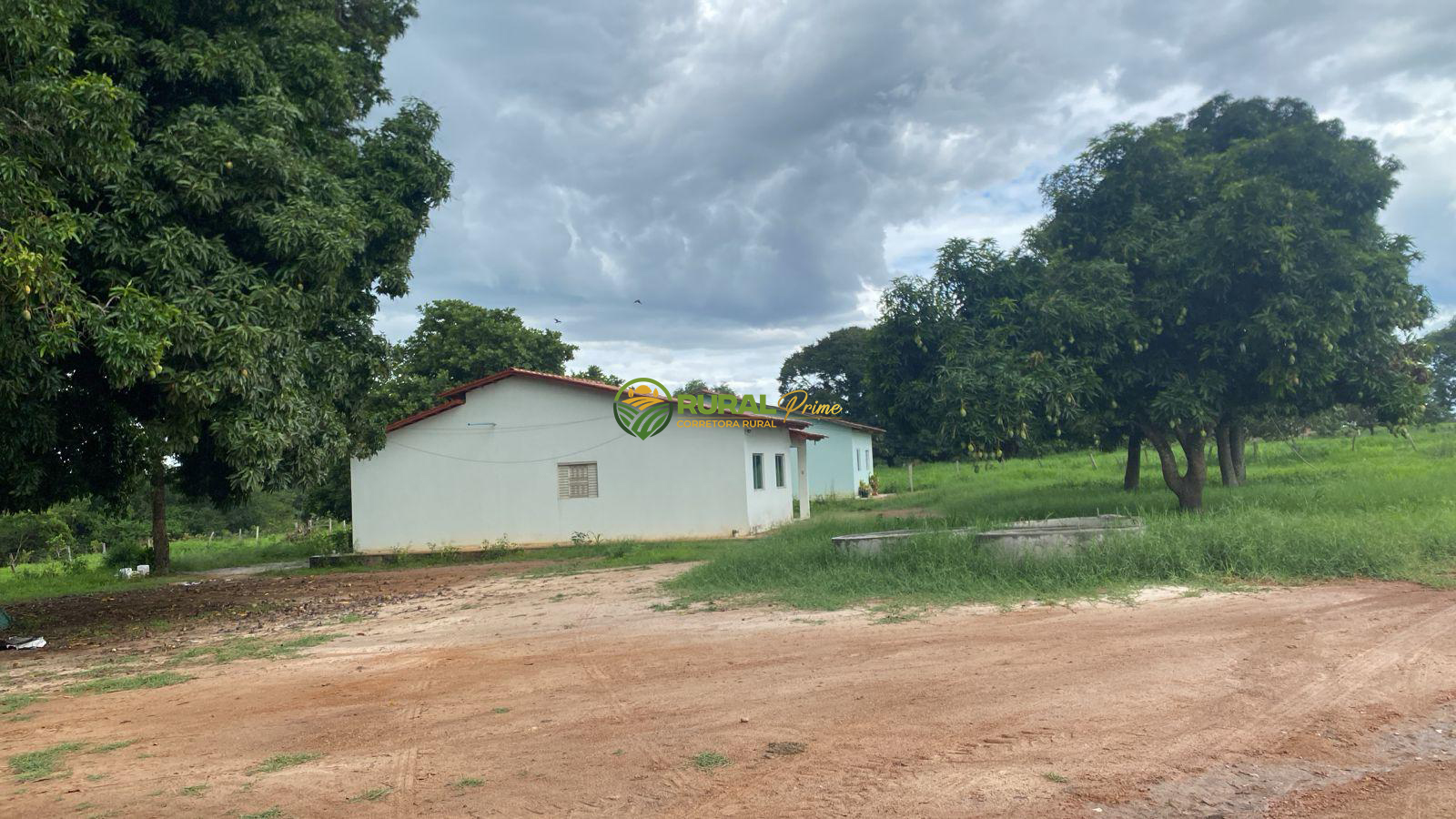 Fazenda à venda em Baianópolis-BA - 1.170ha
