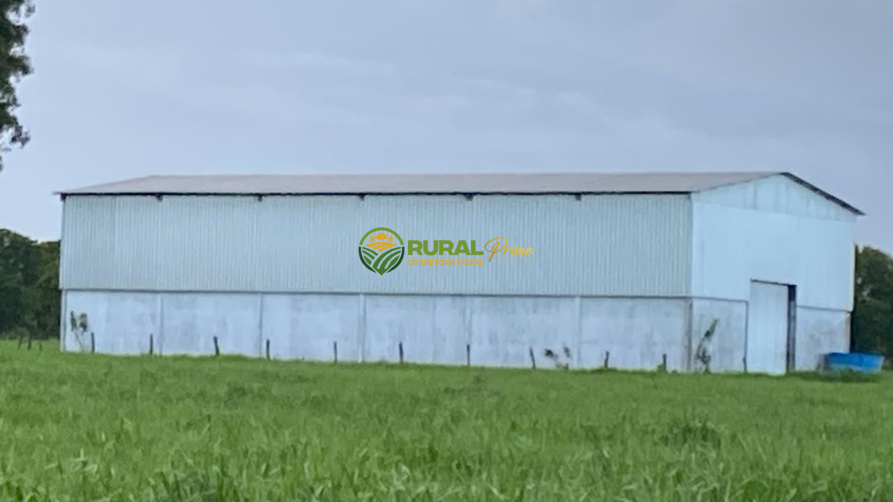 Fazenda à venda em Baianópolis-BA - 1.170ha