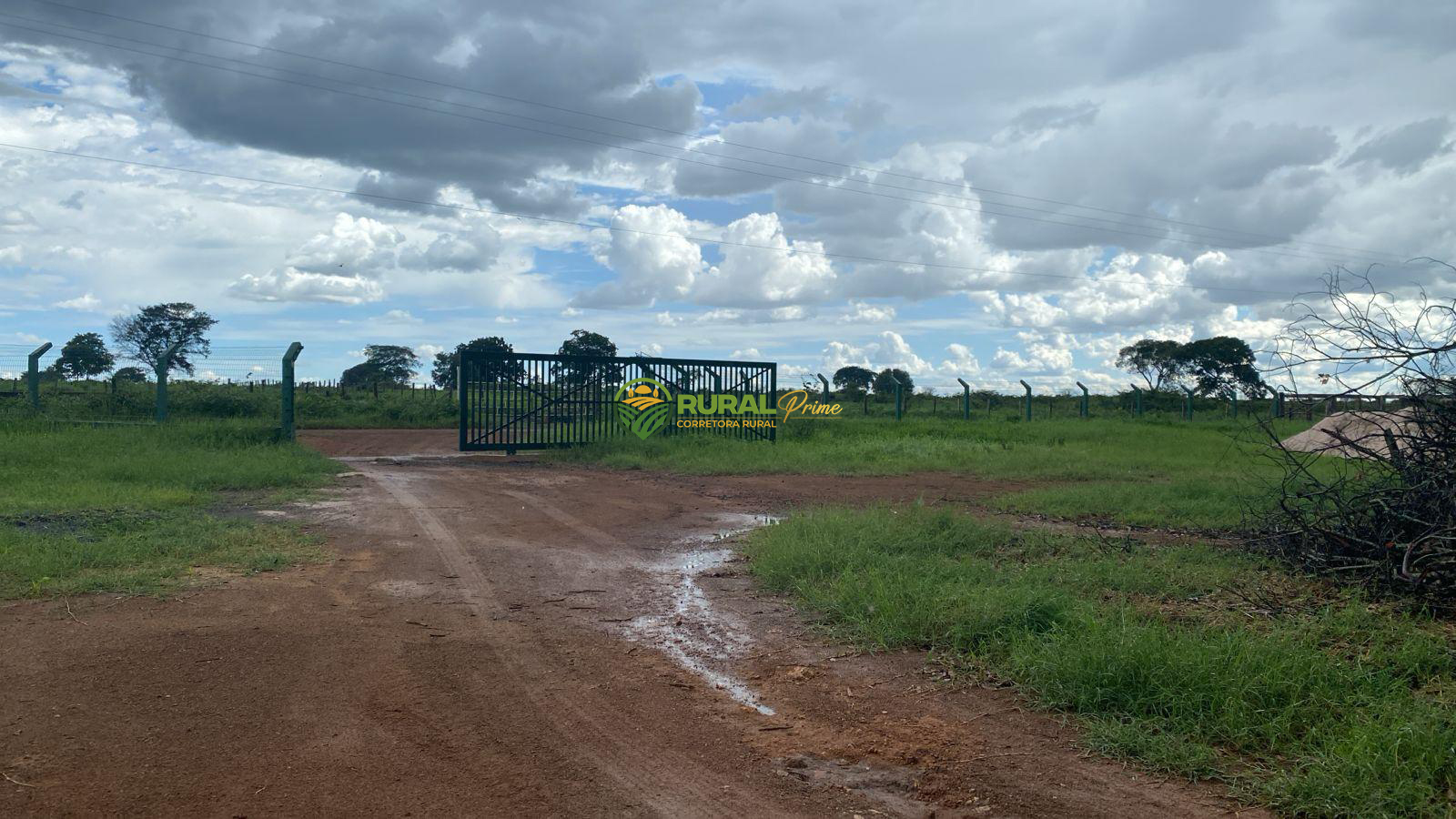 Fazenda à venda em Baianópolis-BA - 1.170ha