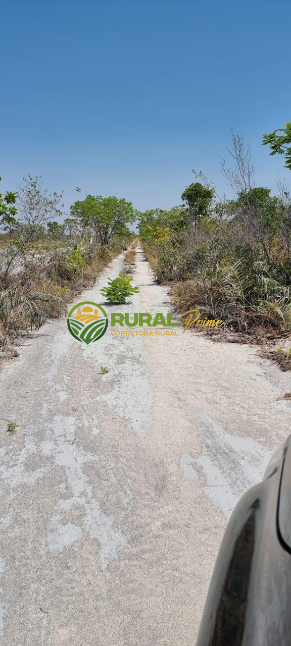 Fazenda de 1.088 ha em São Desidério-BA