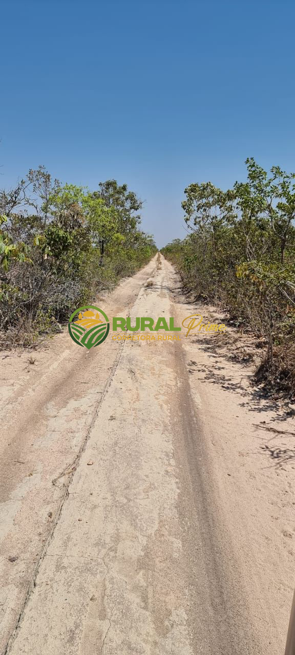 Fazenda de 1.088 ha em São Desidério-BA