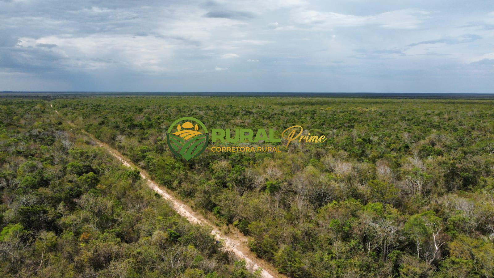 Fazanda à venda em Baianópolis-BA - 4.045ha