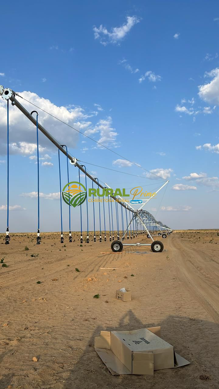 Fazenda à venda em Baianópolis-BA - 1.460ha