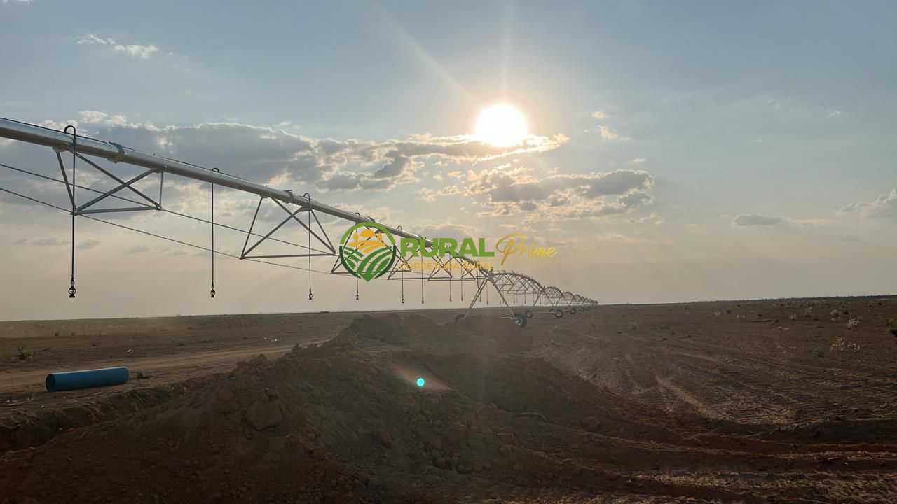 Fazenda à venda em Baianópolis-BA - 1.460ha