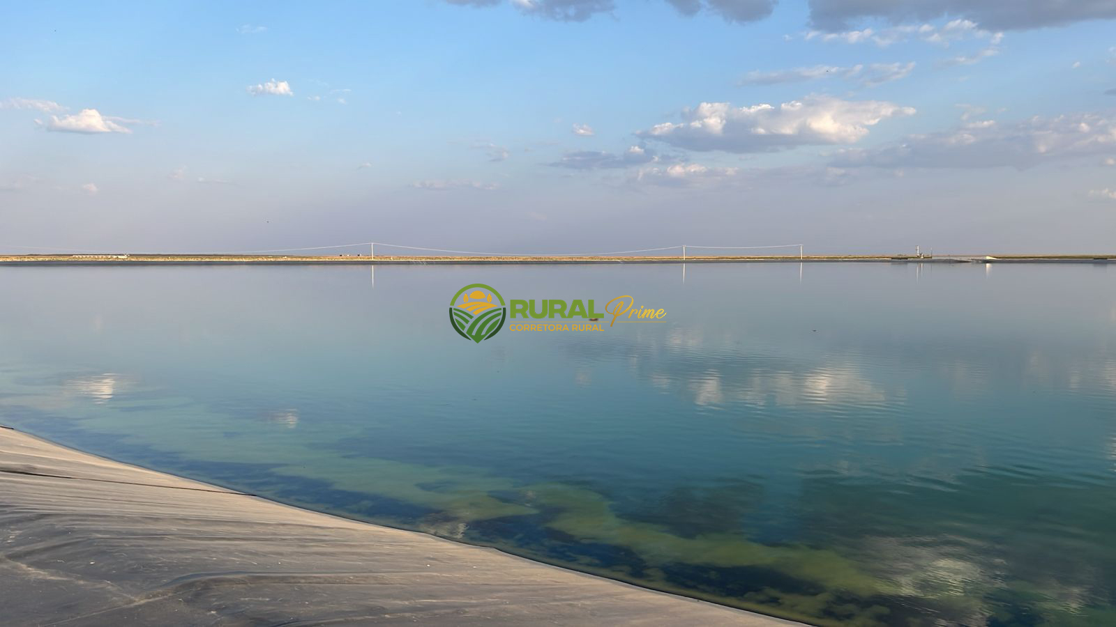 Fazenda à venda em Baianópolis-BA - 1.460ha
