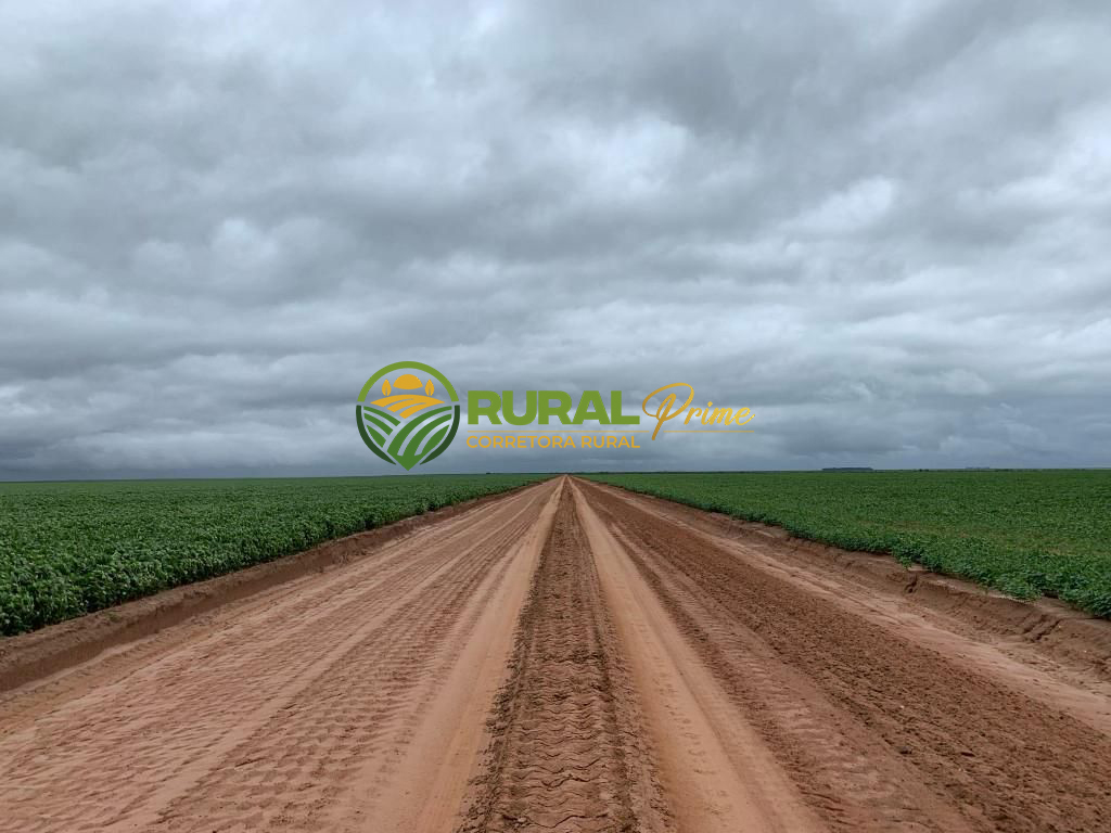 Fazenda à venda em Formosa do Rio Preto-BA - 3.360ha