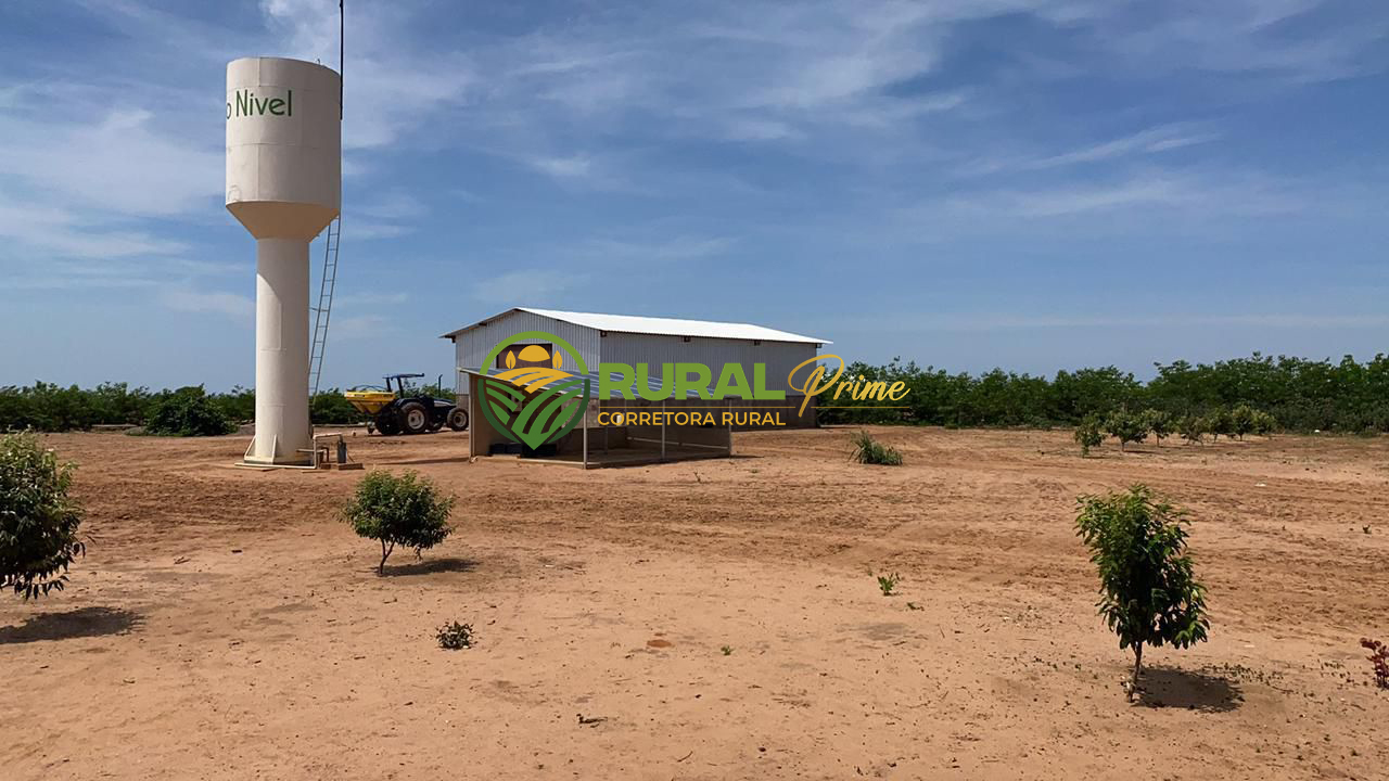 Fazenda à venda em Coribe-BA