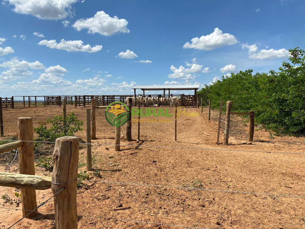 Fazenda à venda em Coribe-BA