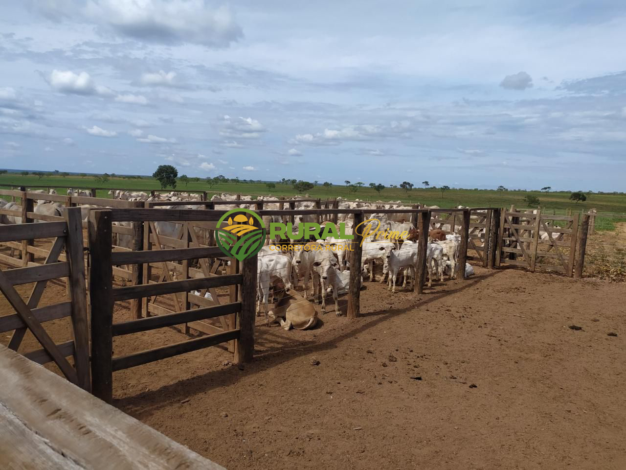 Fazenda à venda em Coribe-BA