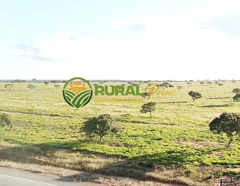 Fazenda à venda em Coribe-BA