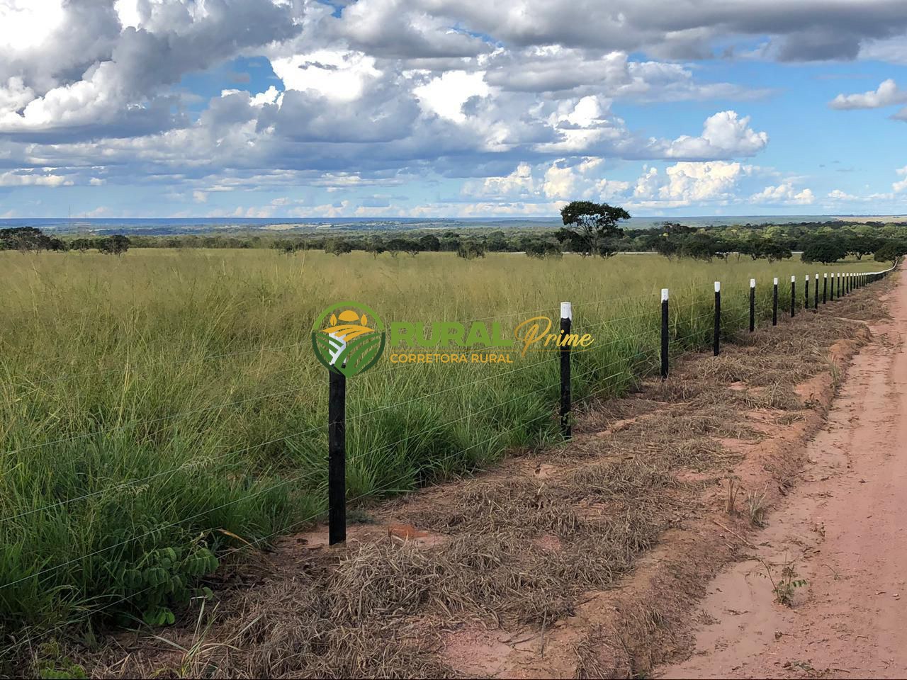 Fazenda à venda em Coribe-BA