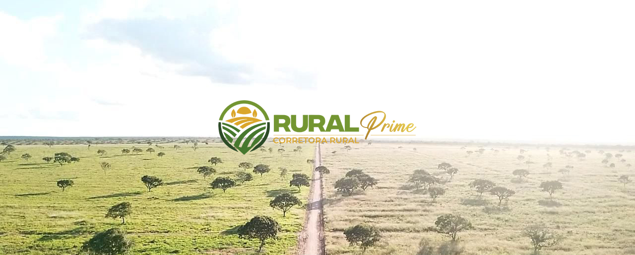 Fazenda à venda em Coribe-BA