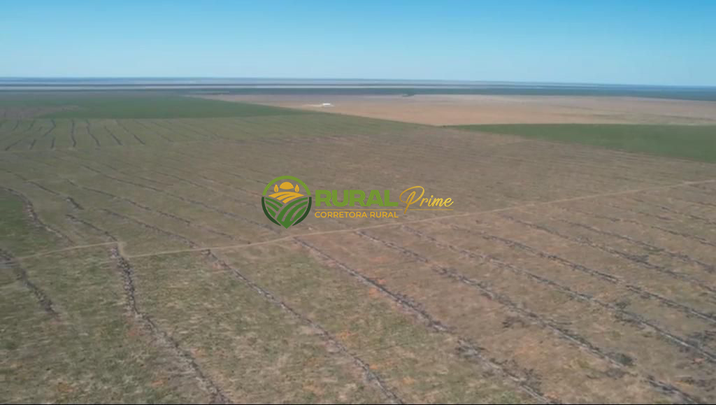 Fazenda à venda em Correntina-BA - 13.800ha