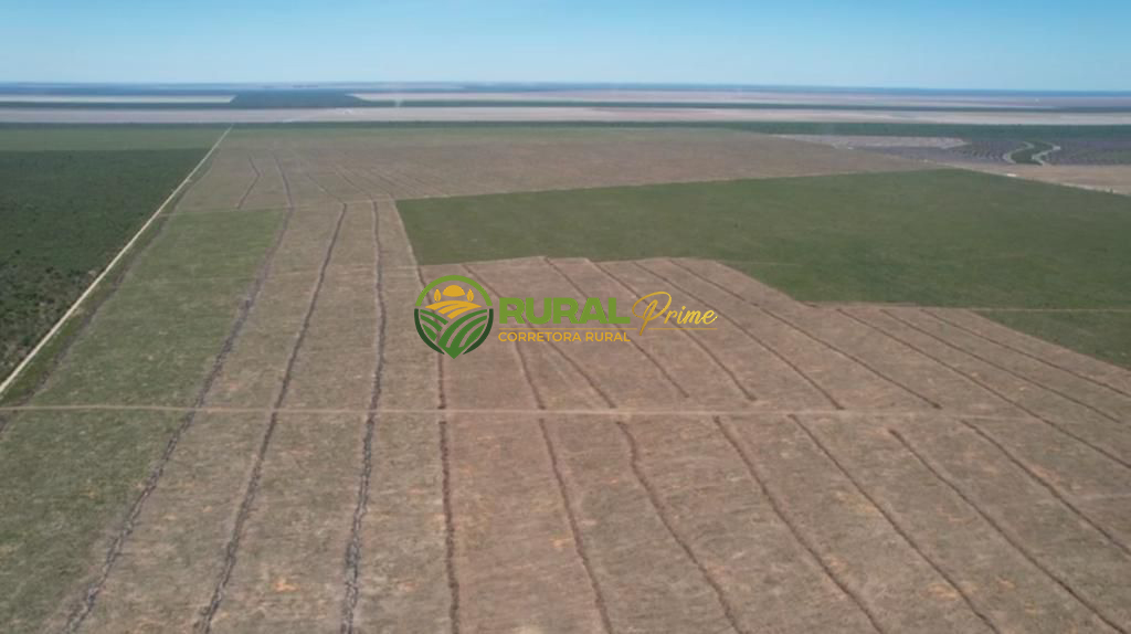 Fazenda à venda em Correntina-BA - 13.800ha