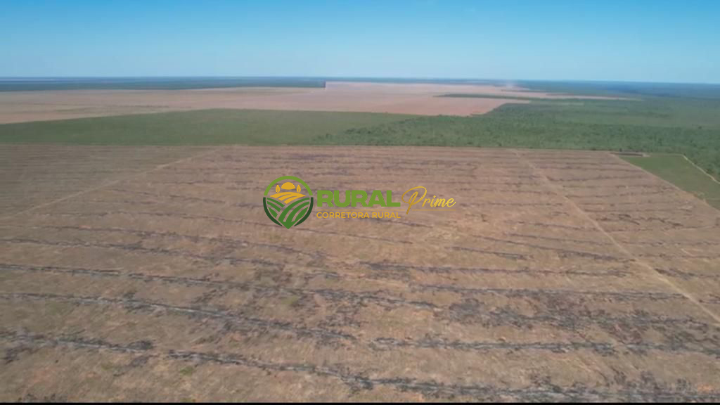 Fazenda à venda em Correntina-BA - 13.800ha