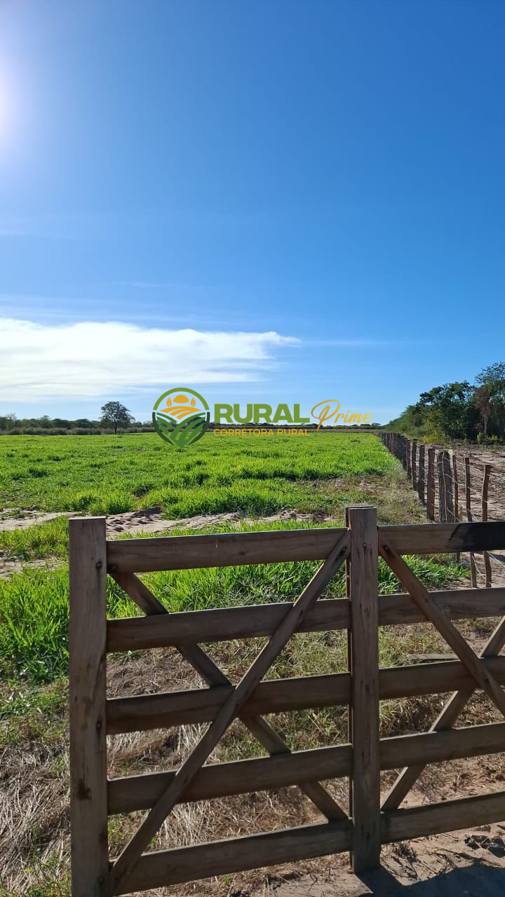 Fazenda à venda no Taguá-BA - 363ha