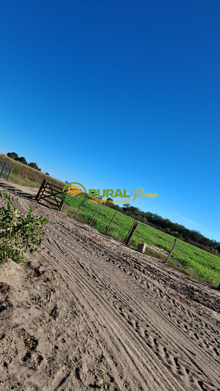 Fazenda à venda no Taguá-BA - 363ha