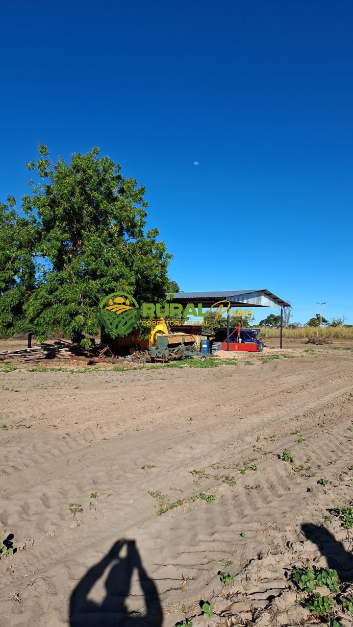 Fazenda à venda no Taguá-BA - 363ha