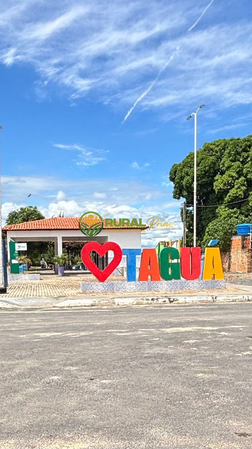 Fazenda à venda no Taguá-BA - 363ha